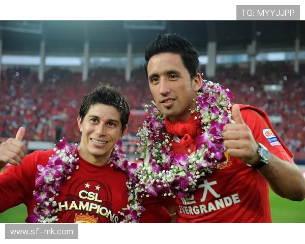 足球球星精彩插花技艺展示带来的视觉震撼与运动之美